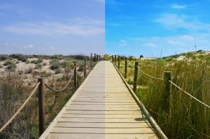 landscape with a broadwalk before and after the image editing process