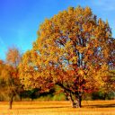 5 Pictures That Tell You Autumn Is Coming