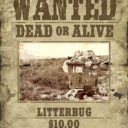How To Make An Old Western Wanted Photo With iPiccy
