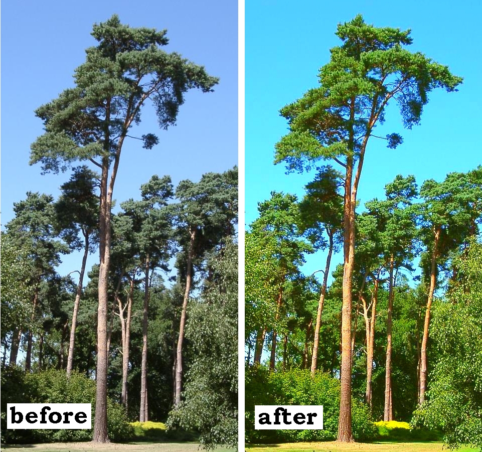 Color correction 3