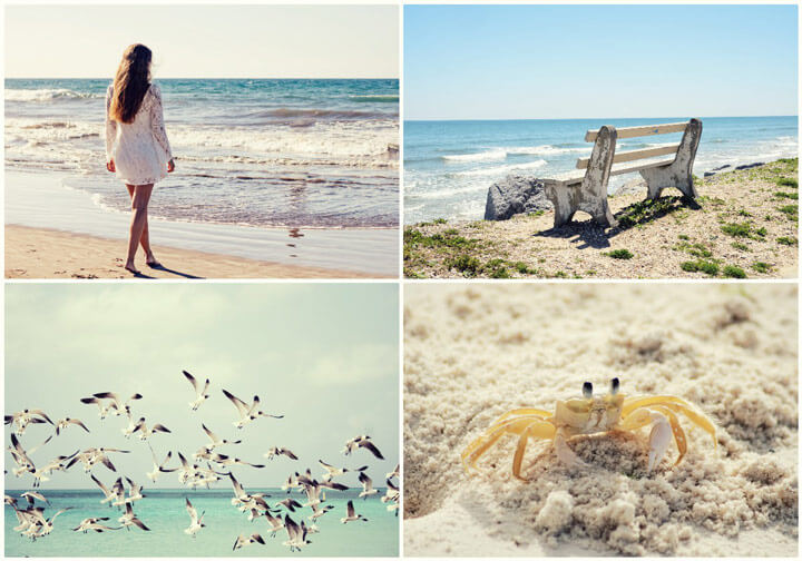 Photo Editor IPiccy Free Online Photo Editing For You